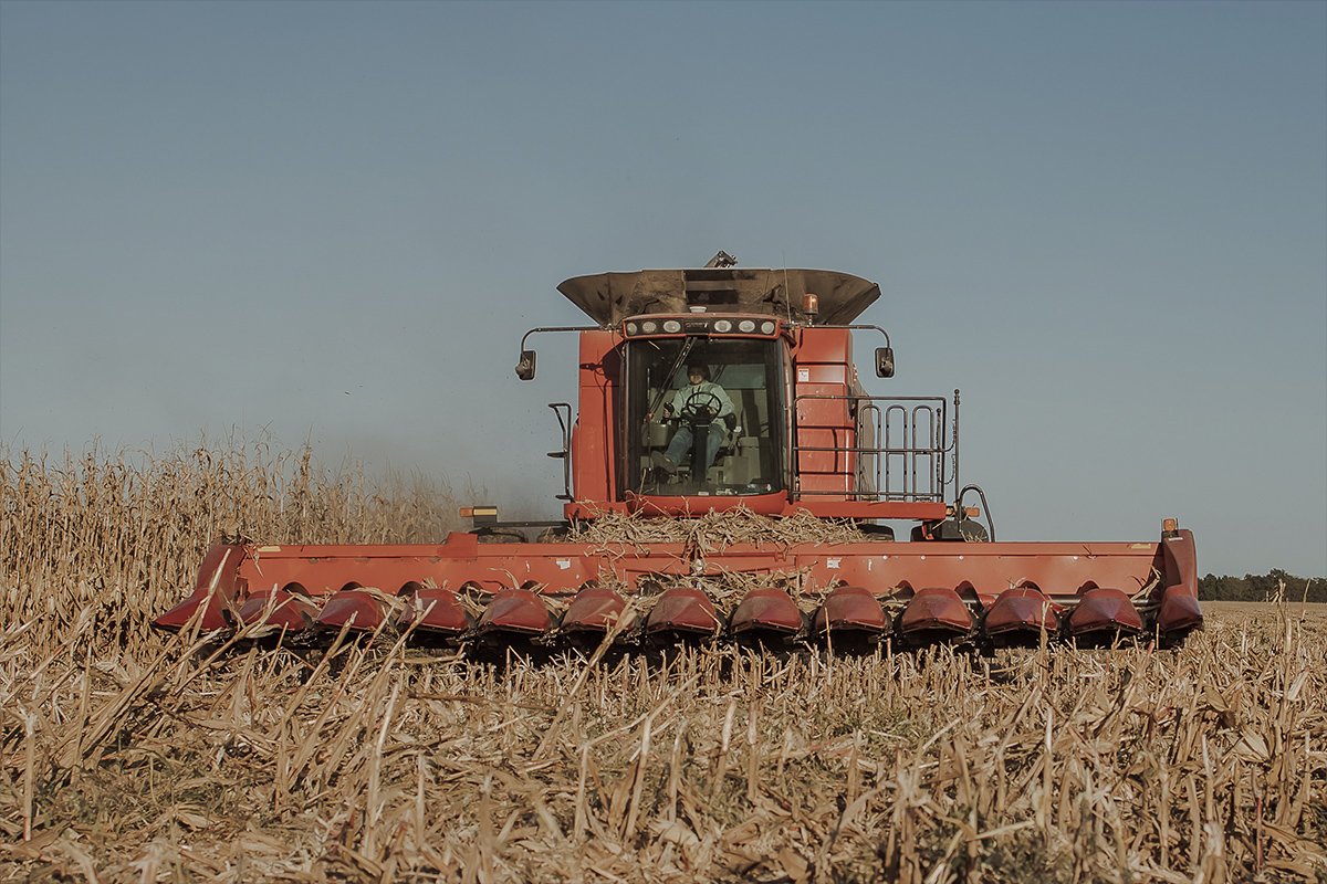 México se afianzará en agromercado de EU en 2021