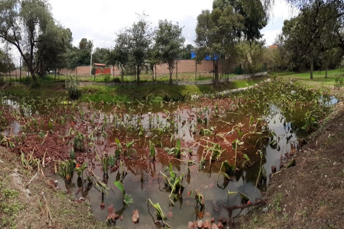 Realiza CGE trabajos de rehabilitación y embellecimiento en el jardín botánico Tizatlán