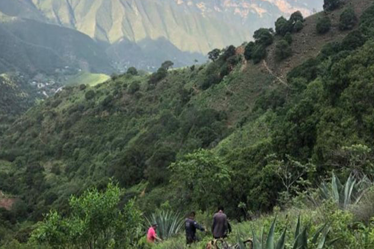 Se matan turistas en San Joaquín