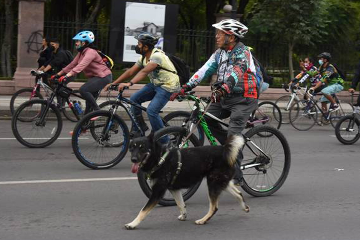 Querétaro sin cultura vial para tránsito de ciclistas