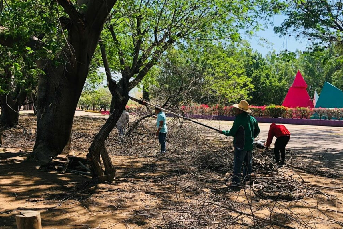 Disfruta comunidad deportiva instalaciones adecuadas en El Tequio