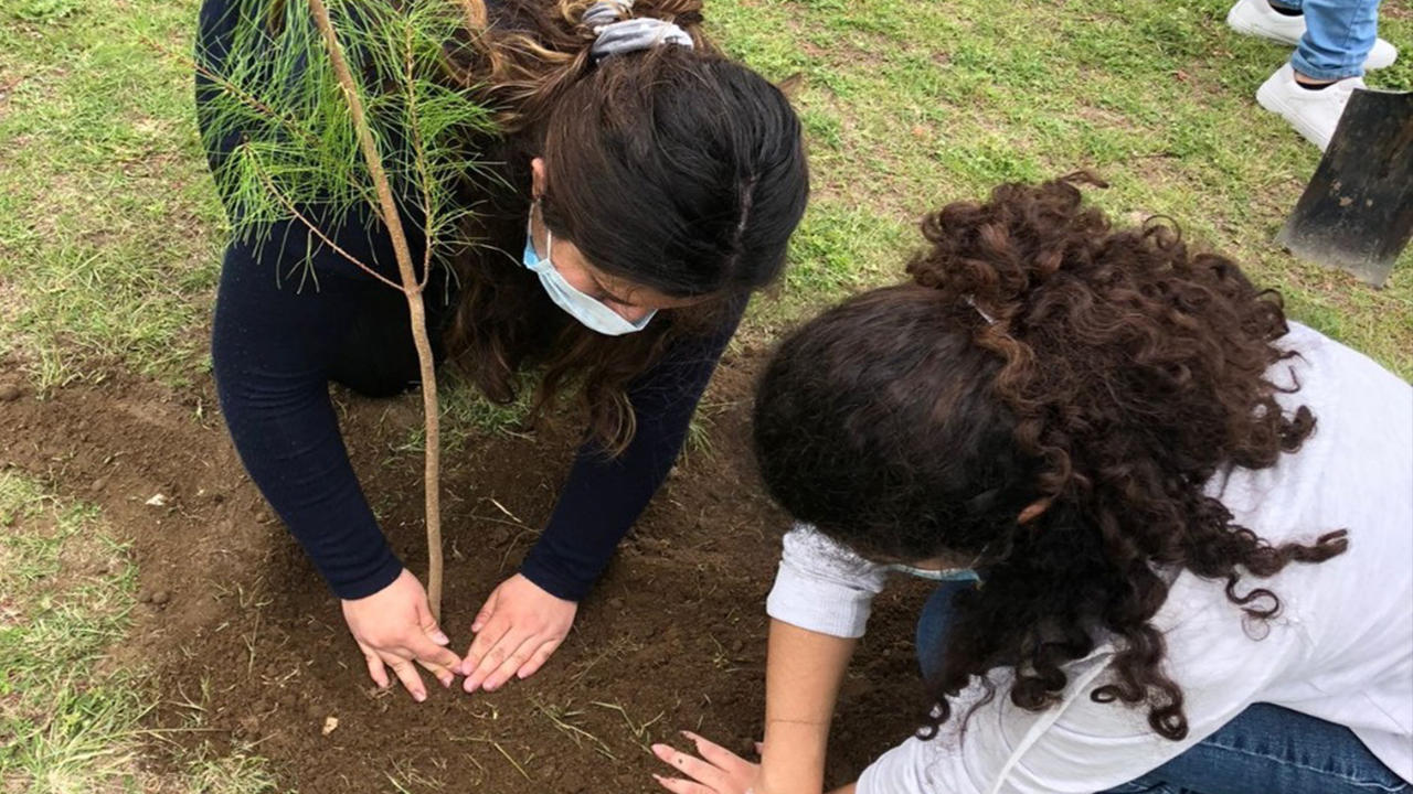 Reforestan el Boulevard Cuamanco de Huamantla la asociación Fuerza Juvenil Mexicana en conjunto con su presidenta estatal