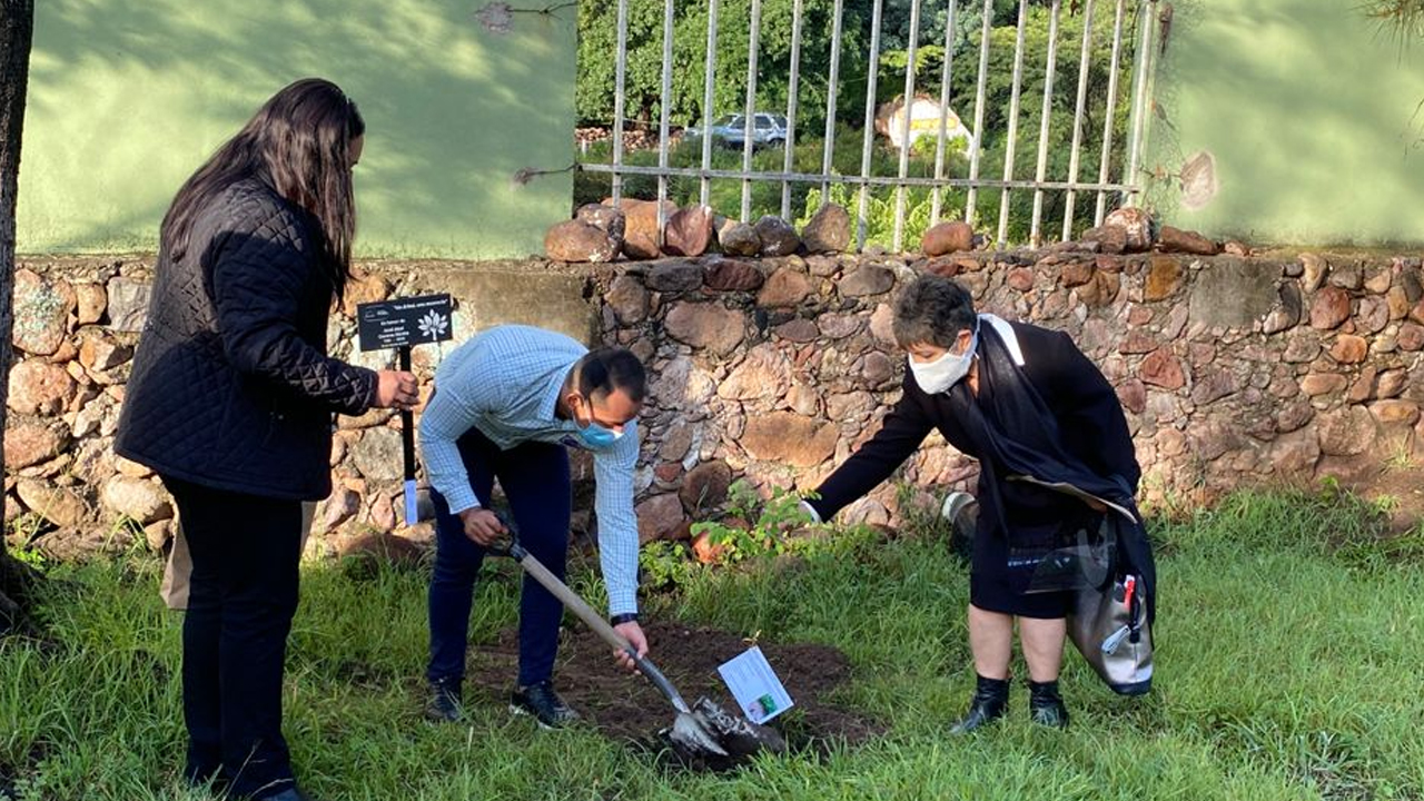 “Un árbol una memoria” honran a personal educativo en Guanajuato