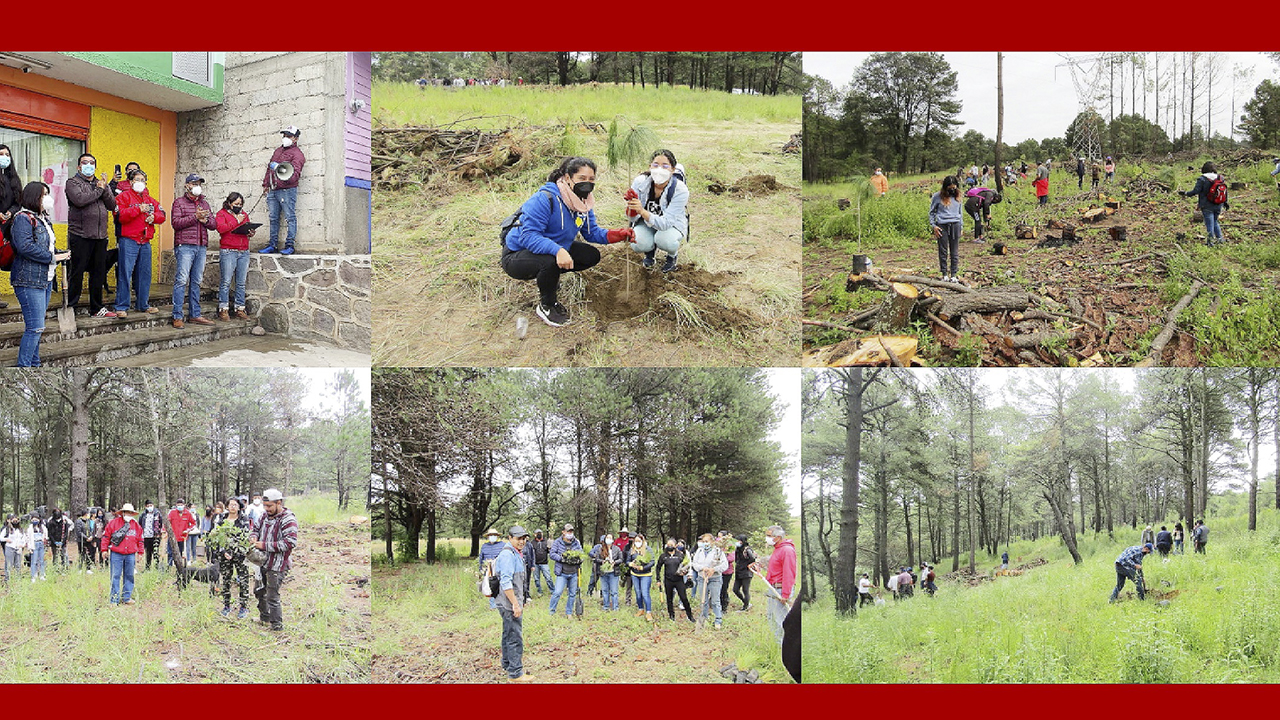 Colabora UATx en la reforestación del Parque Nacional Malinche