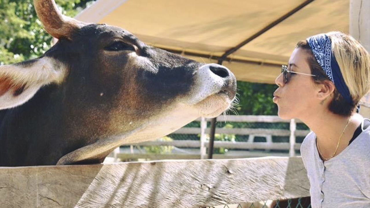 Pensar colectivamente es reconocer los derechos de los animales