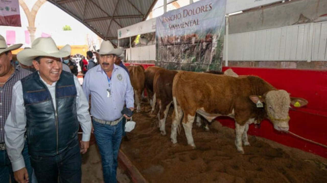 Inicia Gobernador David Monreal rescate del campo; anuncia reactivación de Tianguis Ganaderos