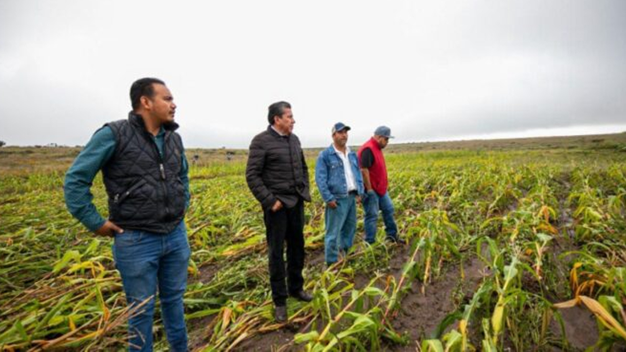 Logra David Monreal declaratoria de emergencia para Genaro Codina y Cuauhtémoc