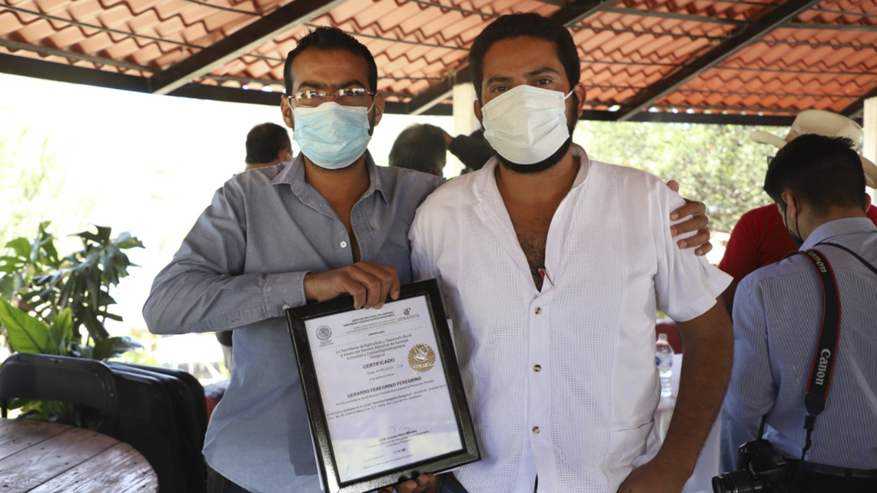 Entrega SEDEA de Querétaro certificados por buenas prácticas a bordo en embarcaciones menores y de producción acuícola en tilapia