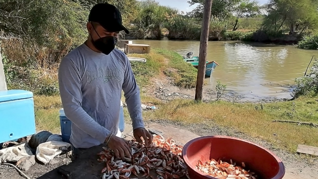 Tamaulipas promueve la mano de obra calificada, con el envío de más trabajadores al extranjero