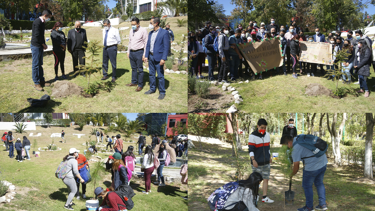 Siembran árboles estudiantes de la UATx en campus rectoría