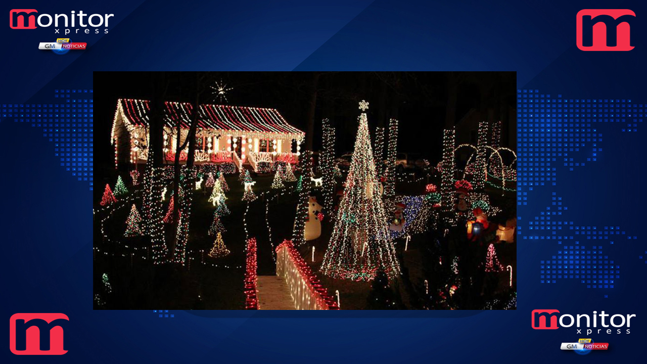 Disfruta de los últimos días de la magia iluminada en los bosques de Hidalgo