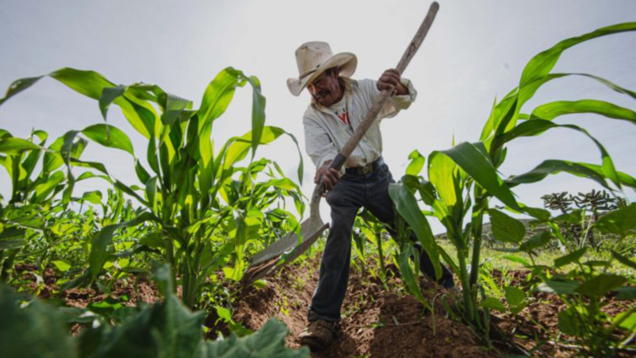 Demandan al gobierno de Oaxaca cambiar Ley de Ingresos