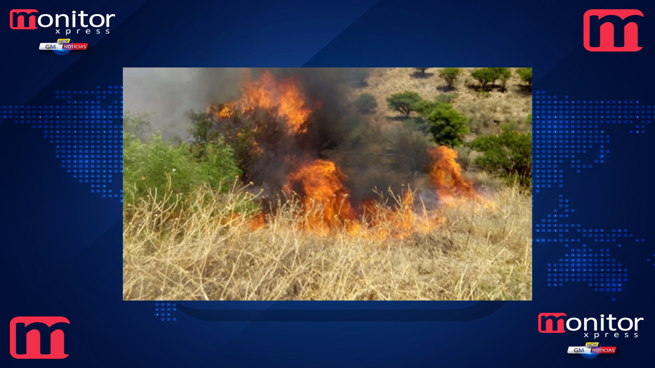 Guanajuato con registro de 3 Incendios de pastizal durante enero