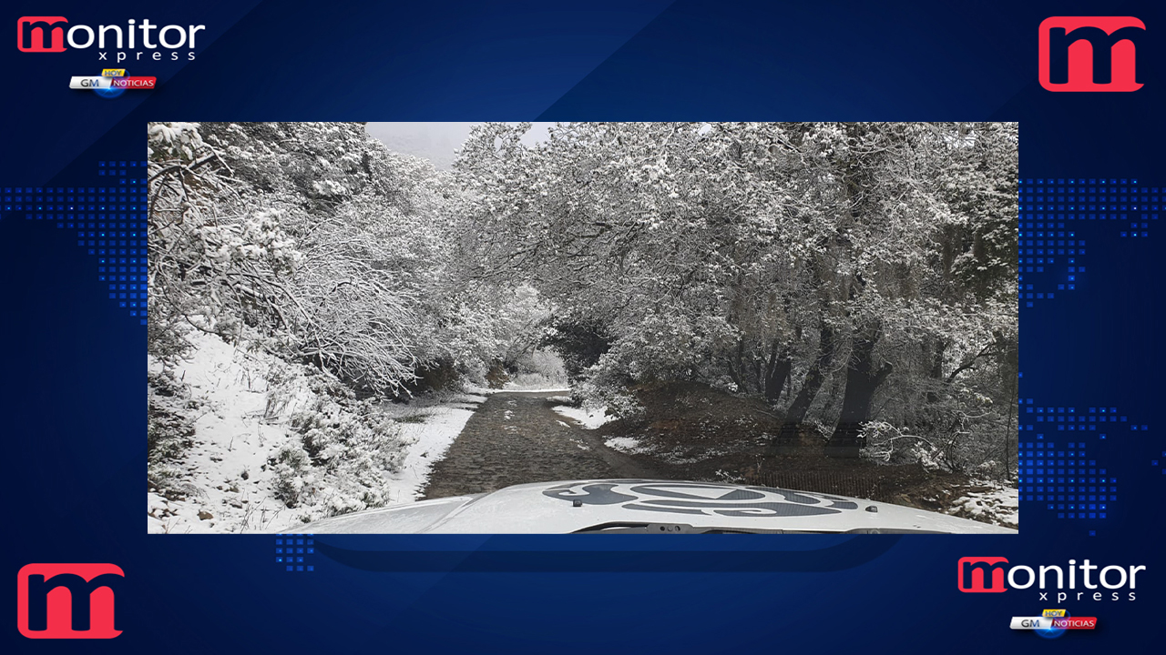 Nevada en 5 Municipios de Nuevo León