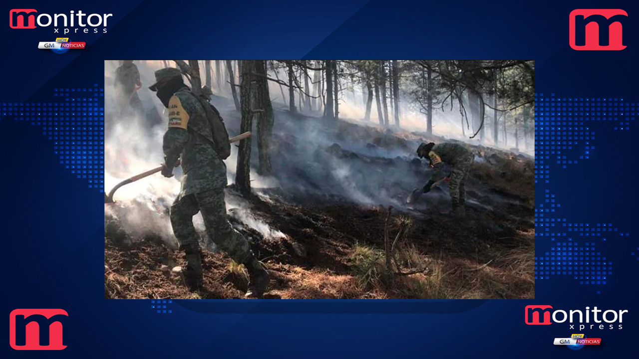 Gobierno de Nuevo León prohíbe realizar fogatas en zonas forestales