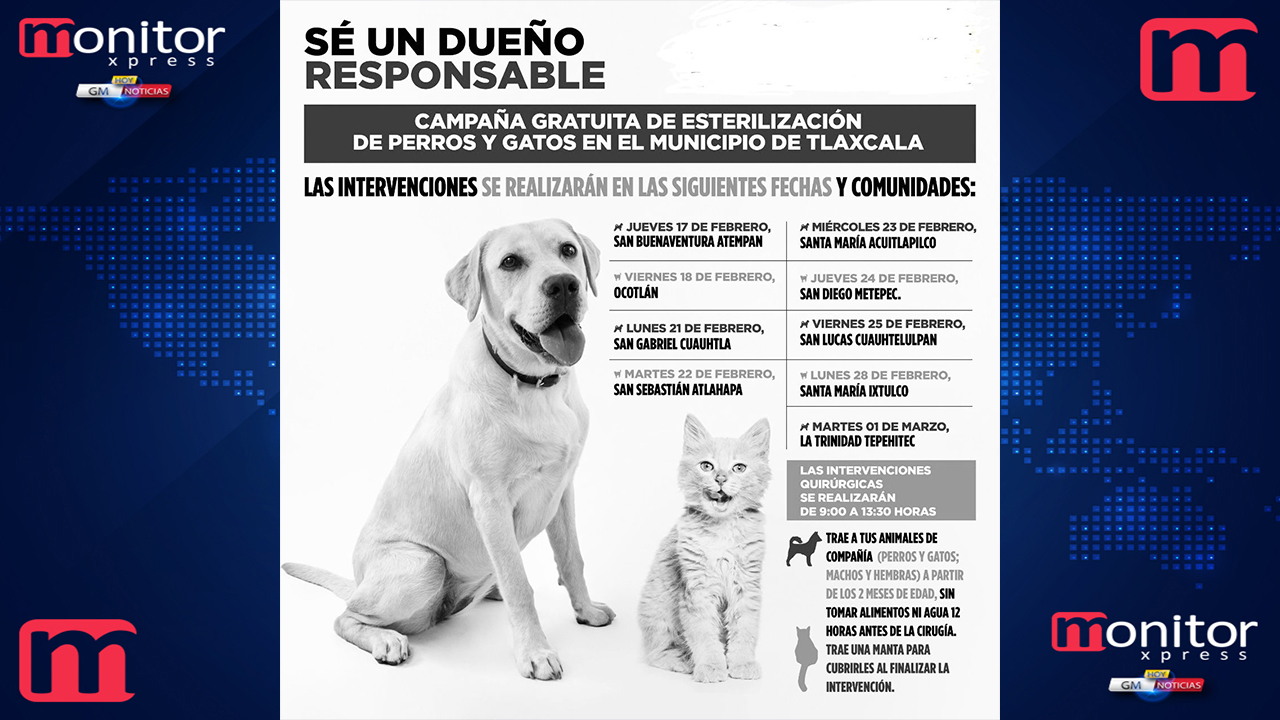 Esterilizarán perros y gatos en comunidades de Tlaxcala Capital
