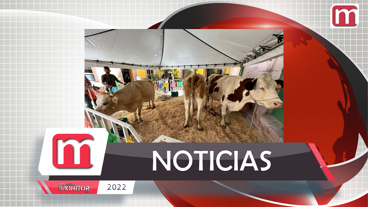 Preparan en el Centro Histórico de Zacatecas “los pajaretes”, una bebida tradicional del Teúl hecha a base de leche bronca