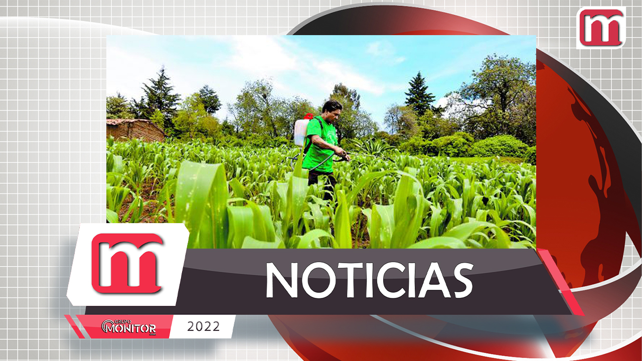 Destinarán 27 mdp para subsidiar fertilizantes en Guanajuato