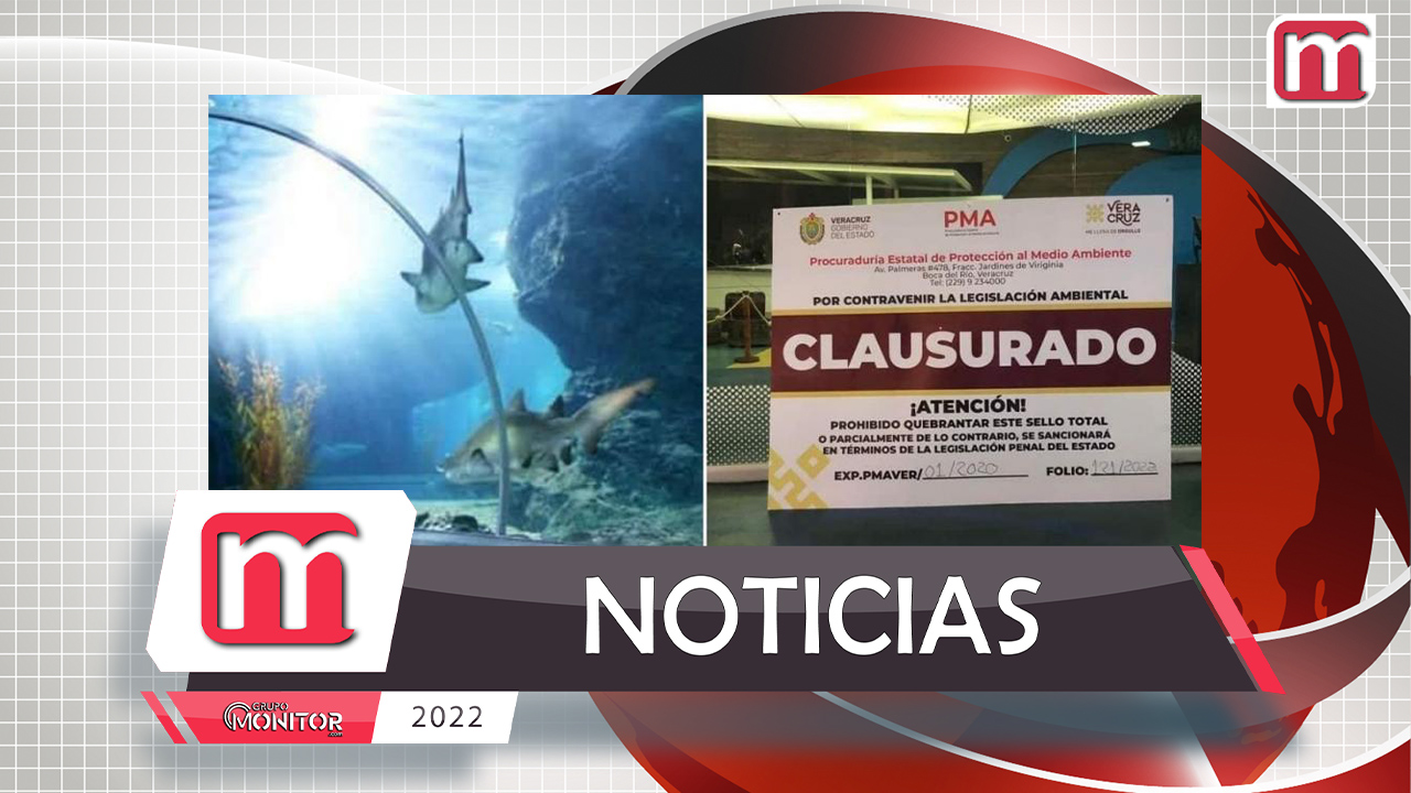 Desaparece Acuario de Veracruz: pasa a manos del Estado con el nombre de “El Aquarium"