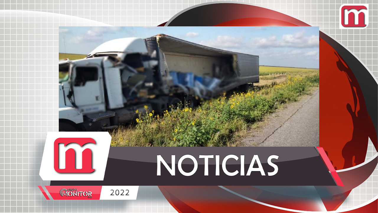 Descubren toneladas de perros y gatos muertos en tráiler accidentado en Tamaulipas