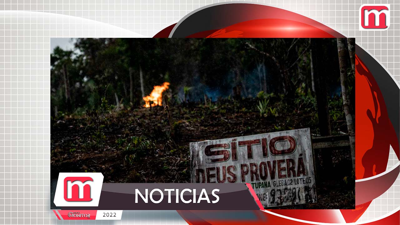 El legado ambiental de Bolsonaro: la deforestación de la Amazonia alcanza su nivel más alto en 15 años