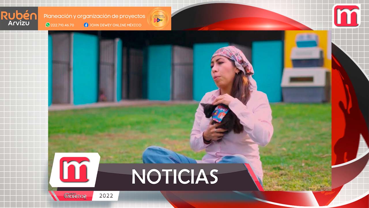 La Diputada Leticia Rubio, promueve la adopción y el cuidado de michis y lomitos.