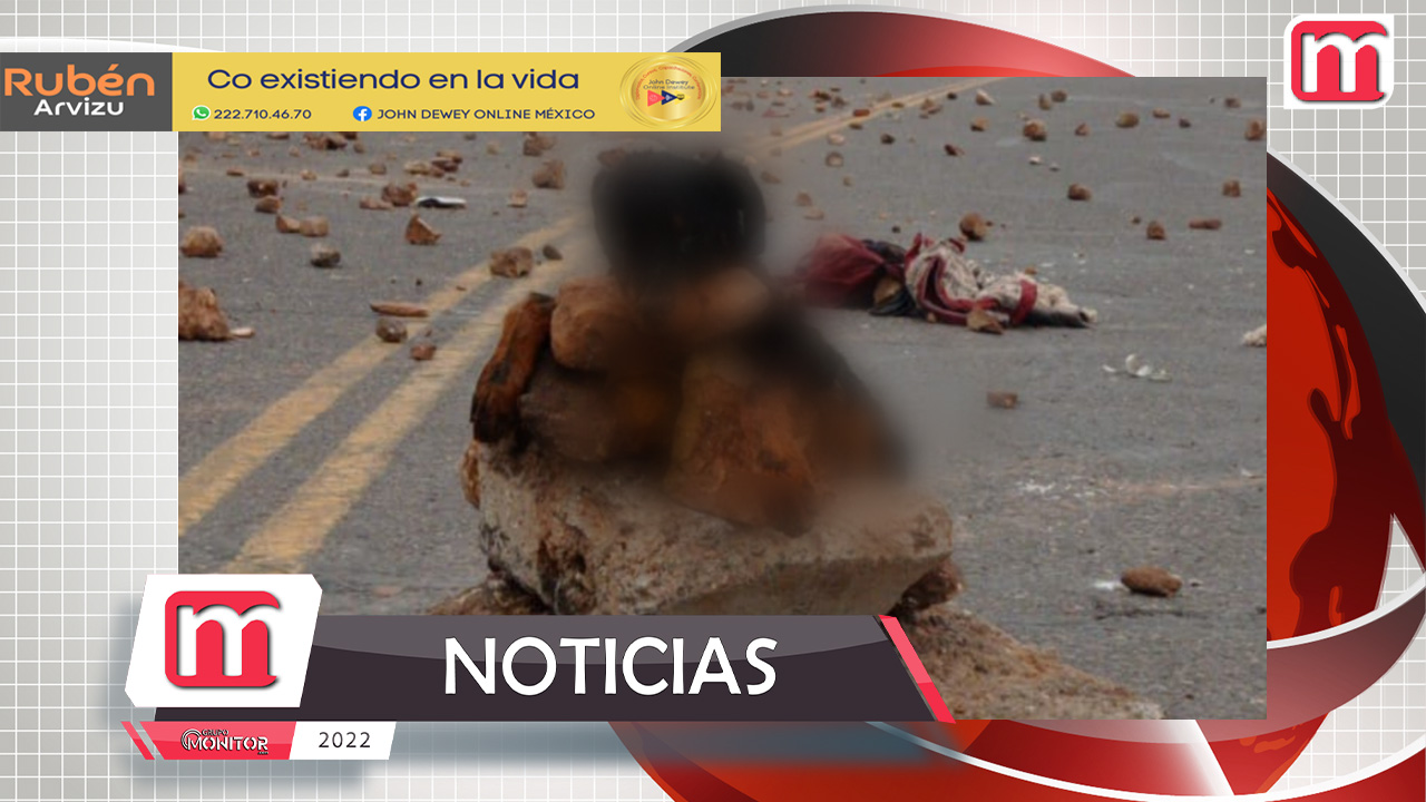 Maltrato animal Terror en Perú: manifestantes matan a un perrito y lo exhiben a media carretera durante bloqueo