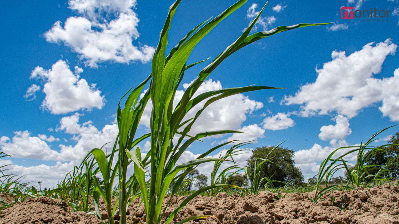 Invitan autoridades a agricultores de Huamantla a registrarse en el programa paisa 2023