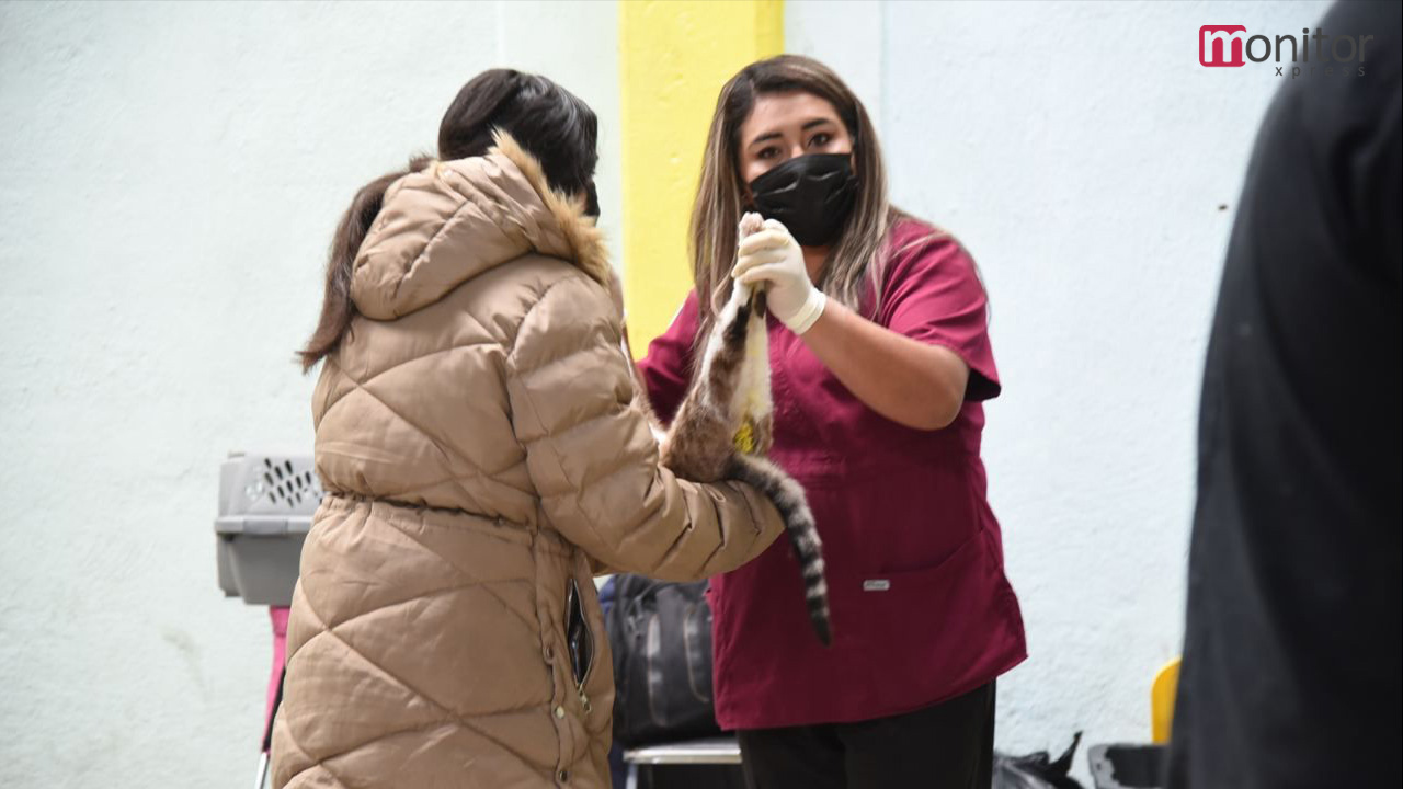 En Tlaxcala Capital se efectuará jornada de vacunación antirrábica canina y felina