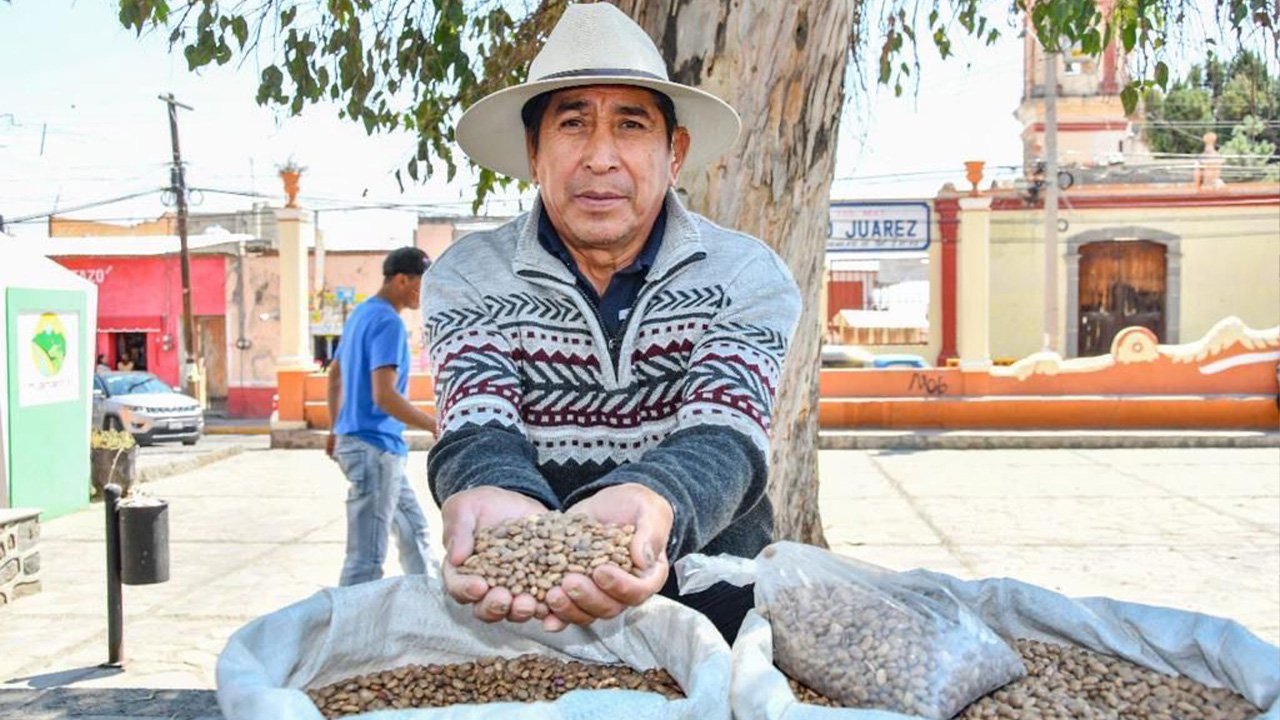 Impulsa ayuntamiento de Huamantla el consumo local a través del tianguis “Mis semillas huamantlecas”