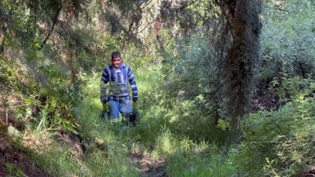 Reforesta ayuntamiento de Tlaxcala barranca Tlacuetla de Cuauhtelulpan