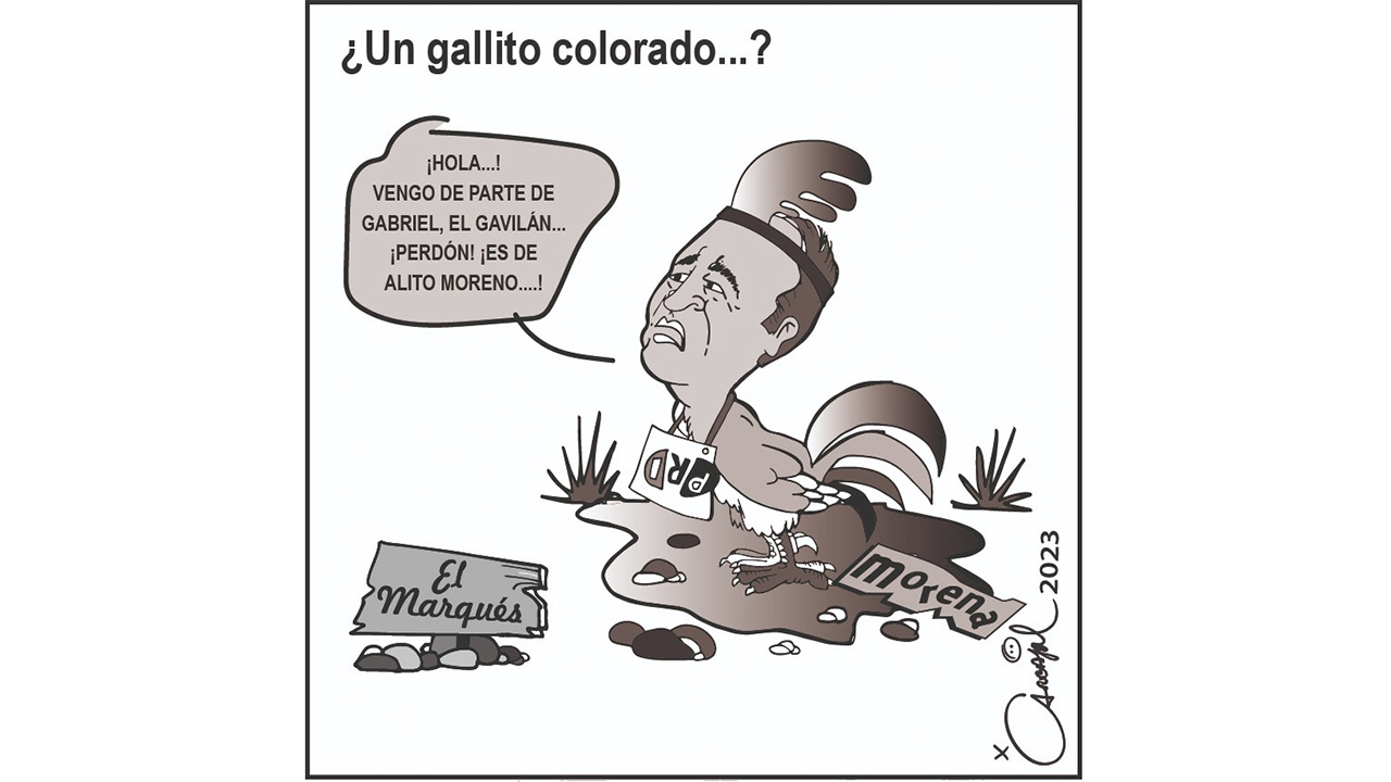 ¿Un gallito colorado...?