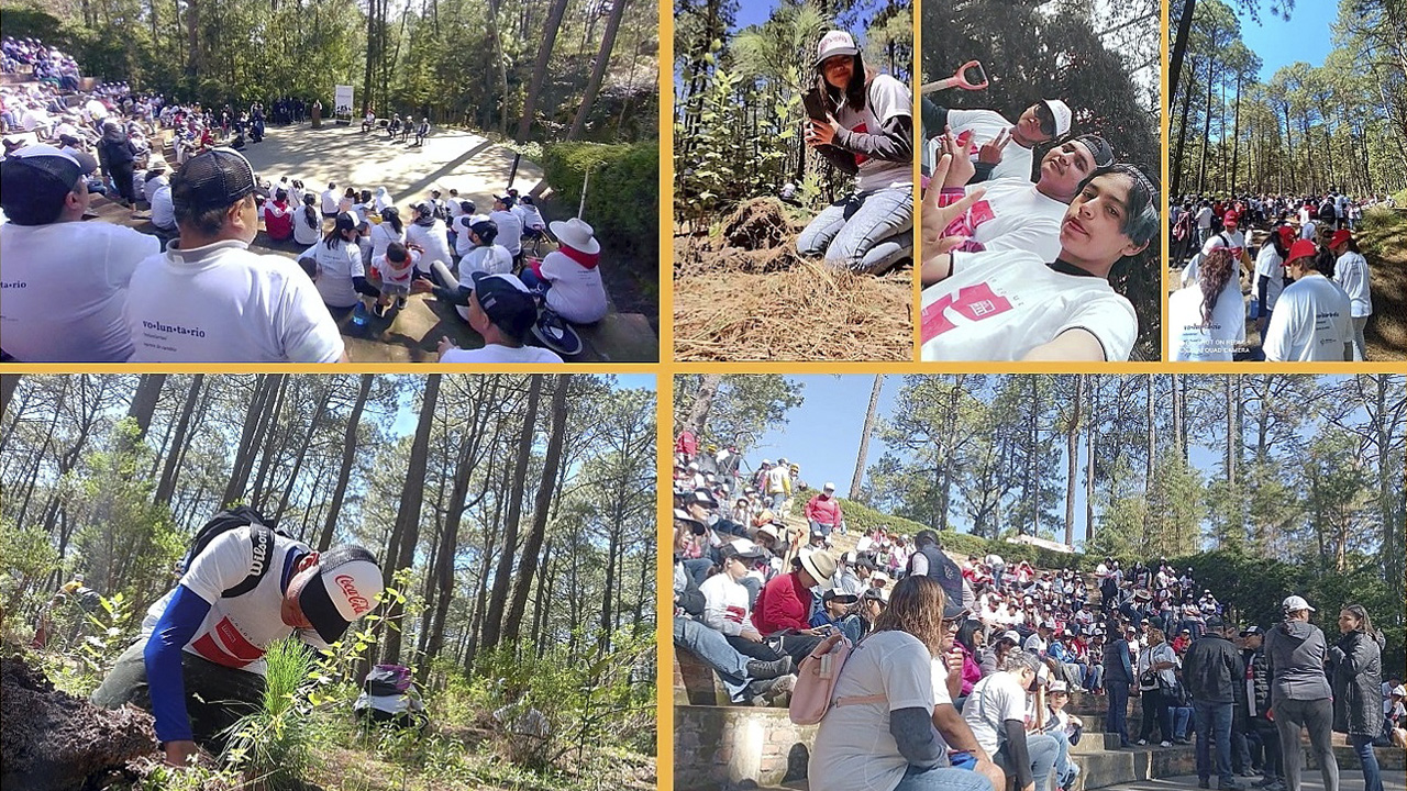 Colabora UATx en reforestación del Parque Nacional La Malinche
