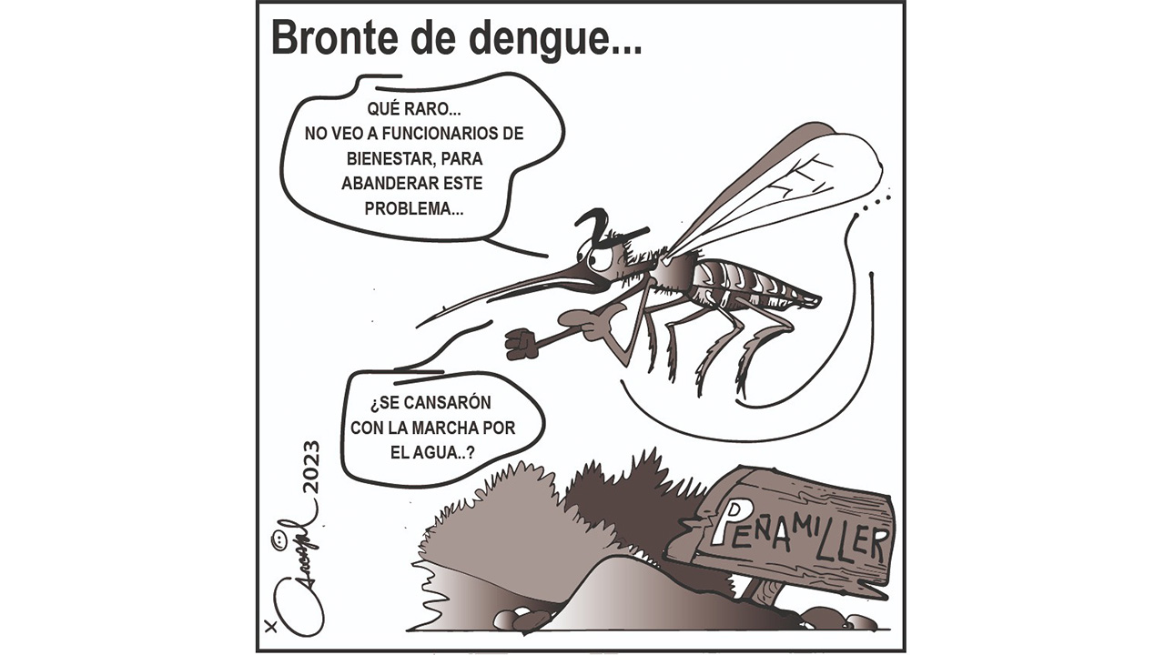Bronte de dengue...