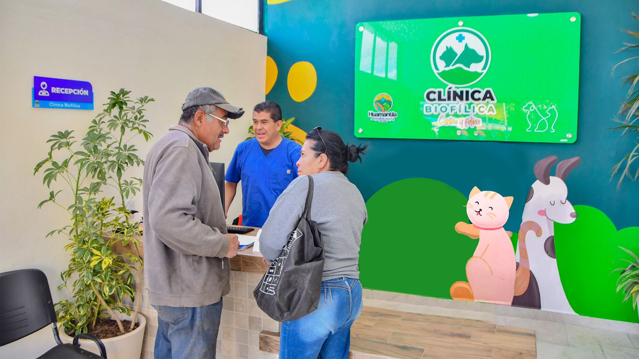 La clínica biofílica canina y felina de Huamantla contribuye al bienestar animal con servicios a bajo costo