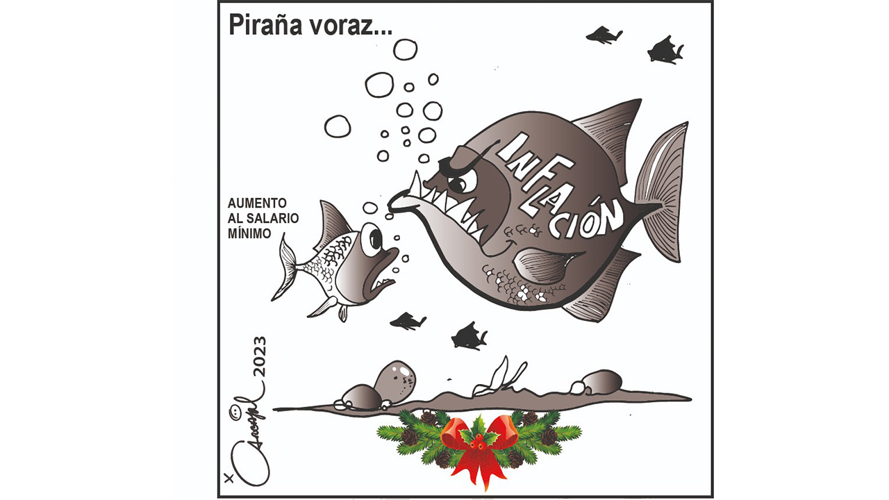 Piraña voraz...