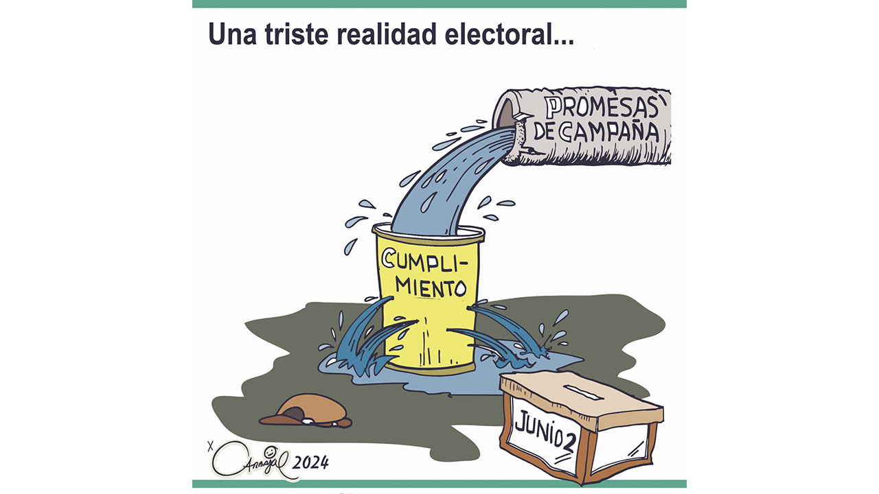 Una triste realidad electoral