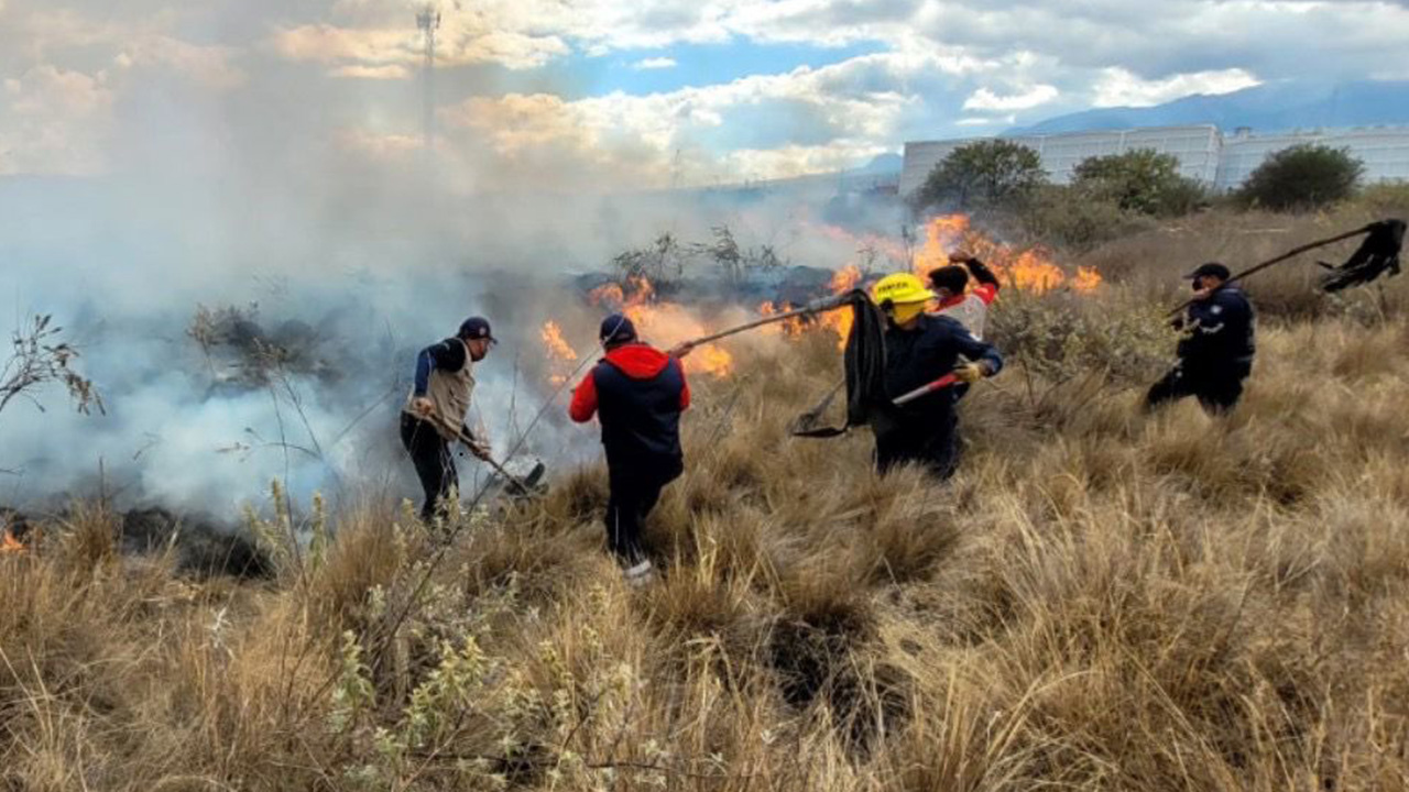 Medidas preventivas contra incendios forestales durante el periodo vacacional