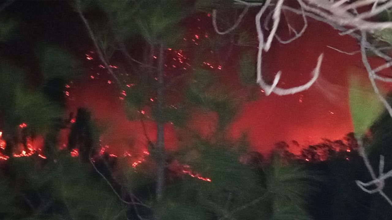 Incendio destruye más de 2 mil hectáreas en región Chontal de Oaxaca