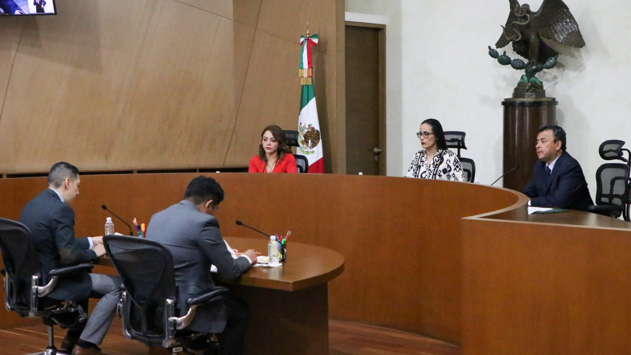 SRCDMX modifica resolución del INE relativa a la revisión de los informes de ingresos y gastos de precampaña de MORENA en el proceso electoral federal 2023-2024