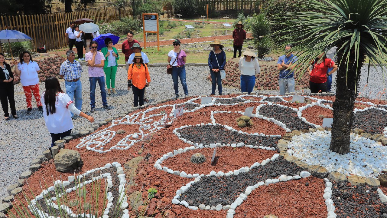Organizan Conabio y UATx taller de monitoreo comunitario de aves en el Jardín Etnobiológico Tlaxcallan