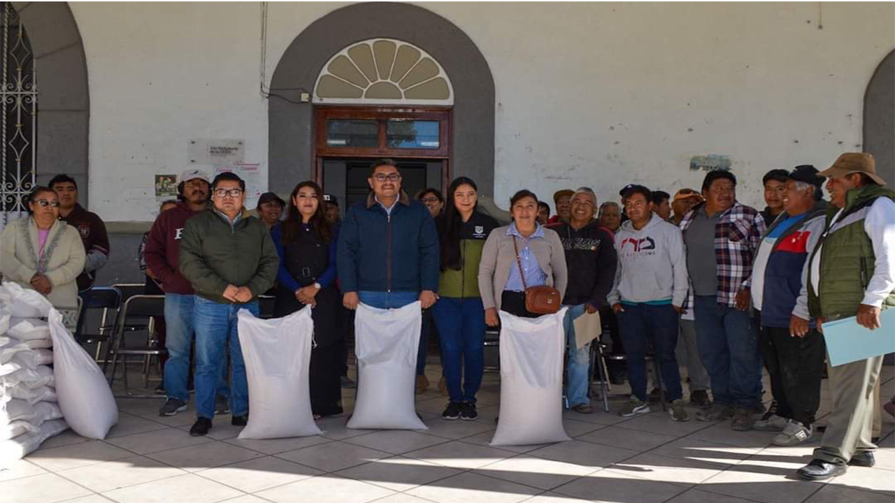 Gobierno municipal de Zacatelco entrega semilla de avena con un 50% de descuento para beneficiar al campo local