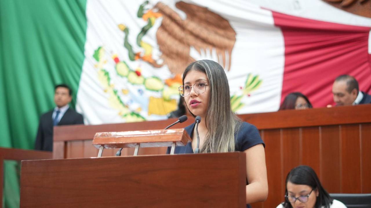 Propone diputada Anel Martínez exhortar a los Ayuntamientos para sustituir uso de pirotecnia por acciones lúdicas en festividades