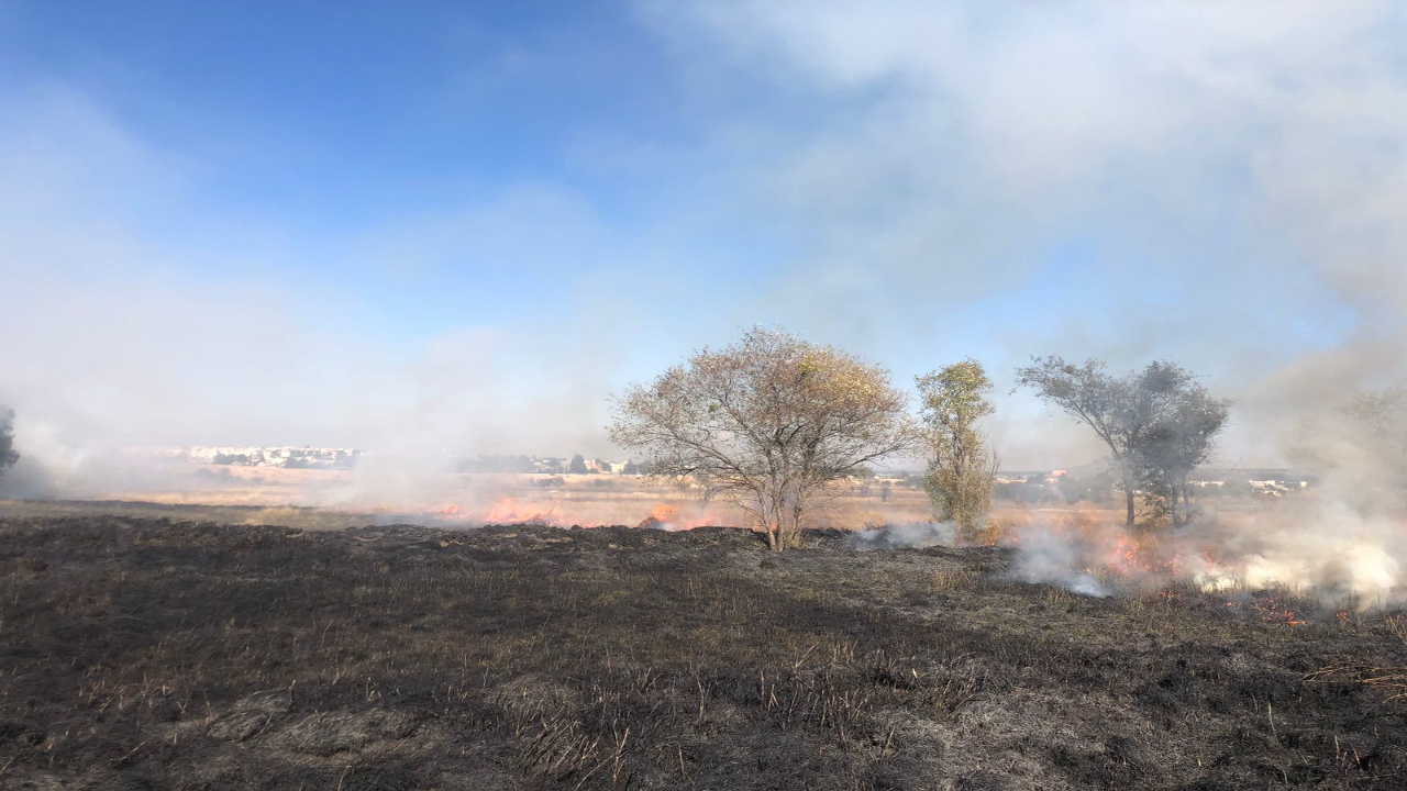 Protección Civil del Ayuntamiento de Tlaxcala atienden incendios de pastizales en Tlaxcala