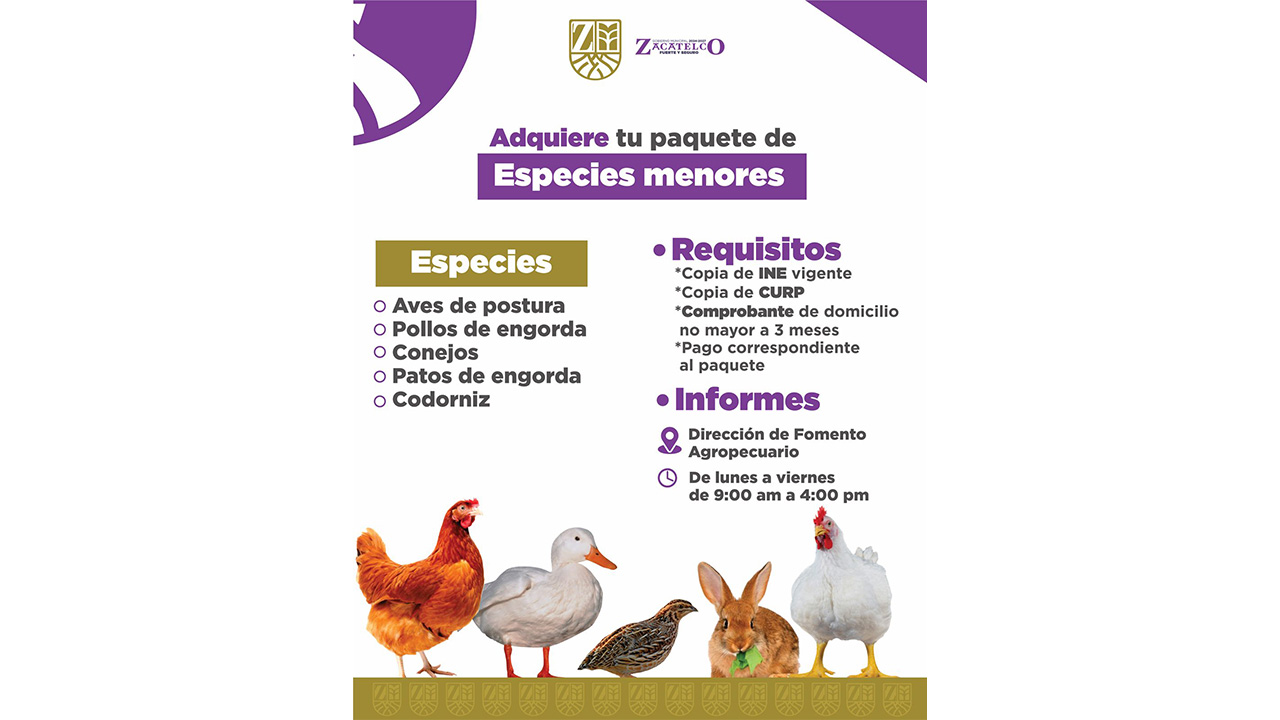 Convocatoria para adquisición de paquetes de especies menores en Zacatelco
