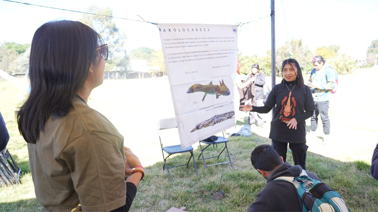 Arrancó el Festival de los humedales y 3er Festitlax de los anfibios. El CTBC-UATx fomenta el conocimiento y la protección de la biodiversidad