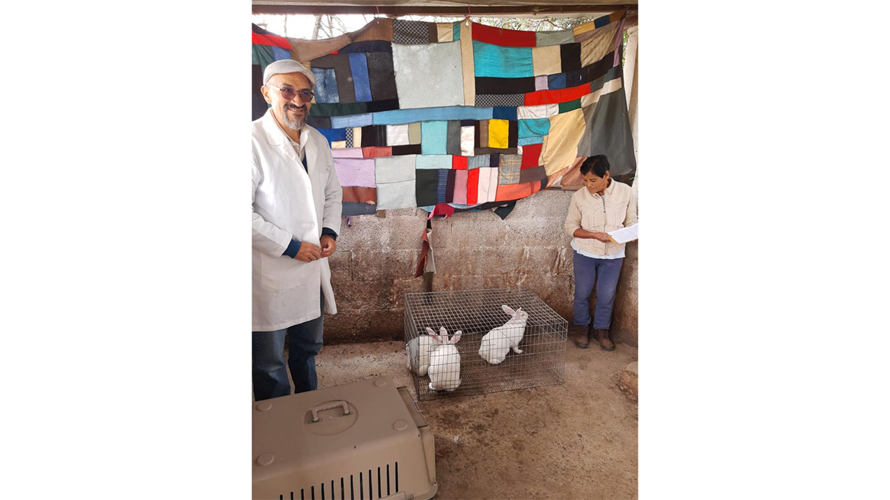 La UATx fortalece al sector pecuario de Tlaxcala con proyecto de cunicultura