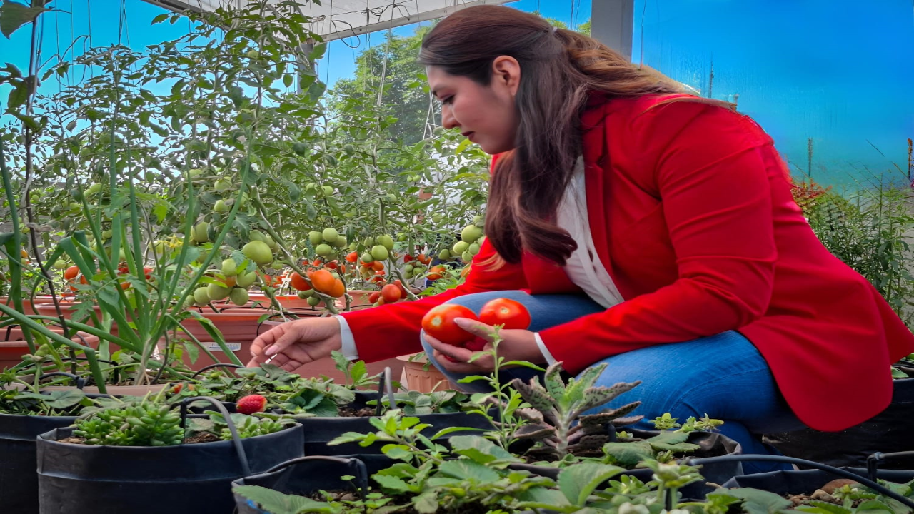 DIF Zacatelco fortalece su programa “¡Aprende y Emprende!” con resultados en huertos familiares.