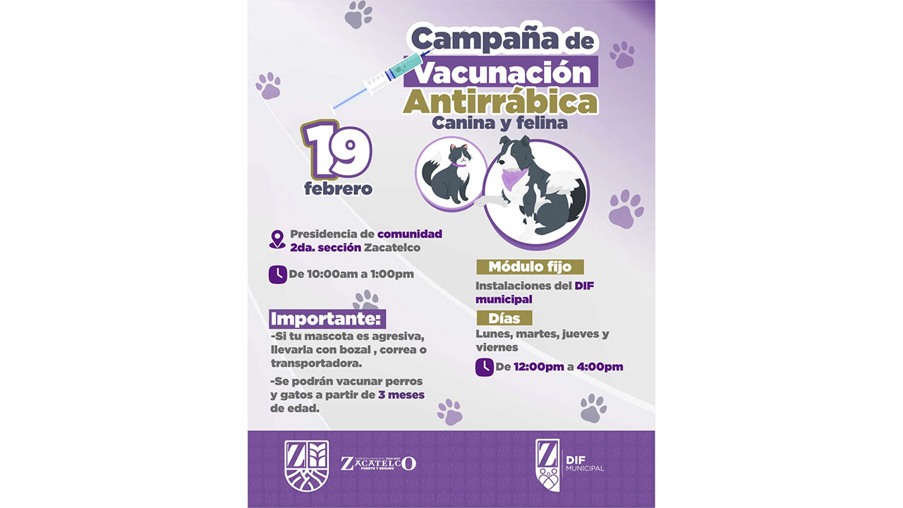 Inicio de campaña de vacunación antirrábica canina y felina gratuita en Zacatelco.