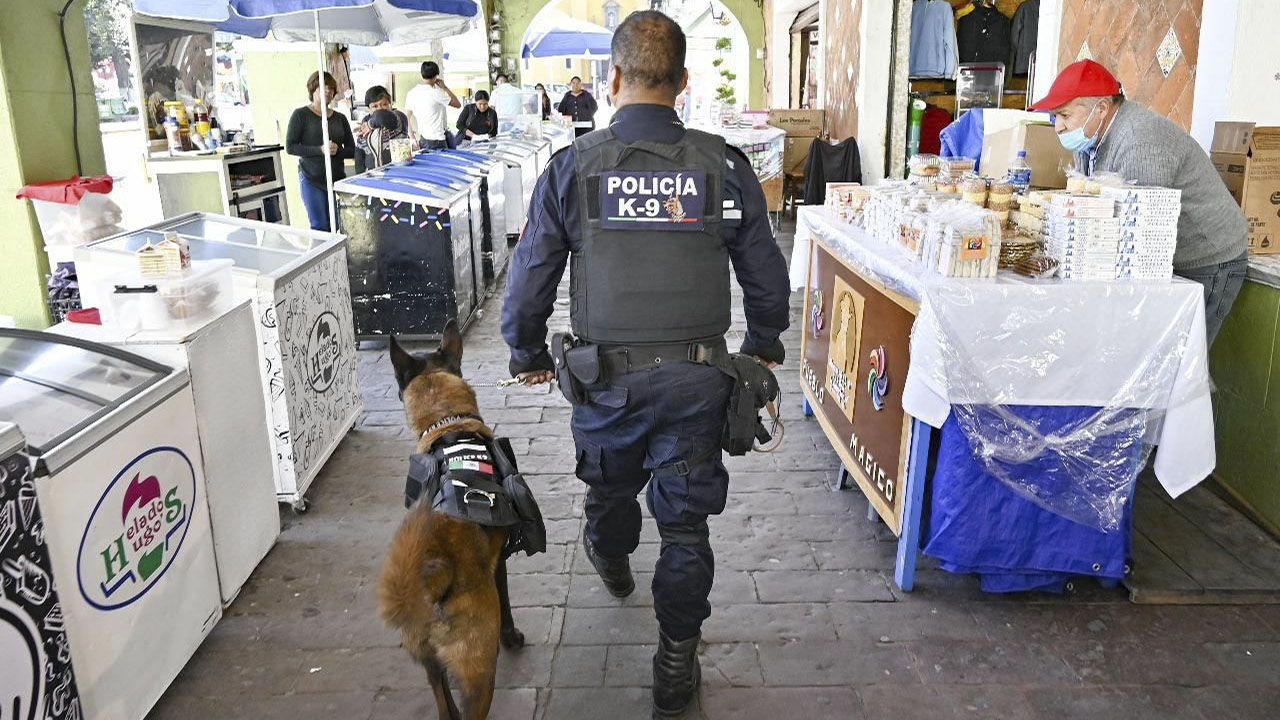 Unidad Canina K9 al servicio de Huamantla para fortalecer la seguridad